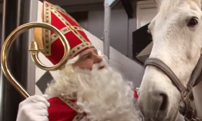 paard van sinterklaas