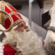 paard van sinterklaas