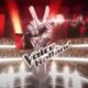 the voice