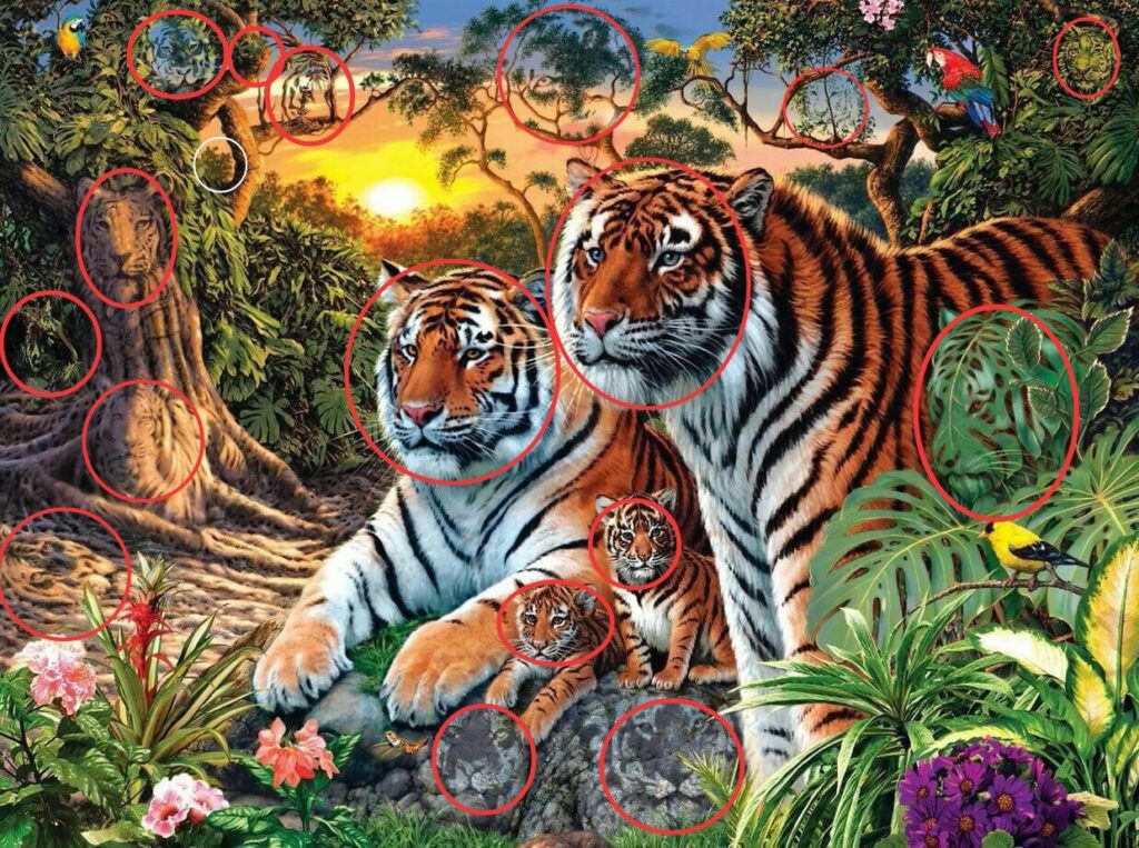 Bijna niemand ziet hoeveel tijgers er op deze afbeelding staan