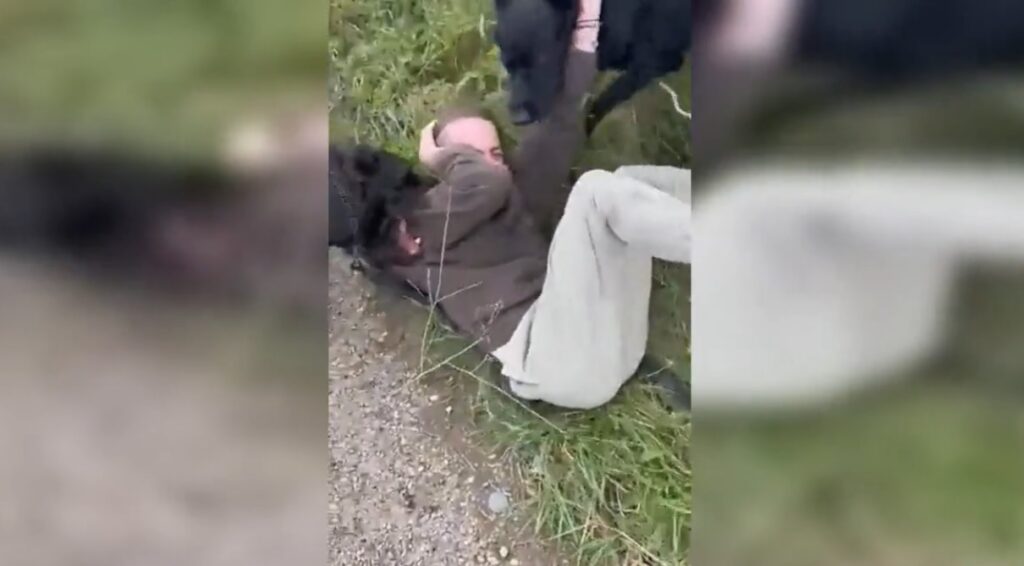 6 Draagbare, Multifunctionele Opnameknoppen Voor Honden, Een Opnameknop Van 30 Seconden Voor Spraakopnames Voor Katten Honden En Andere Huisdieren