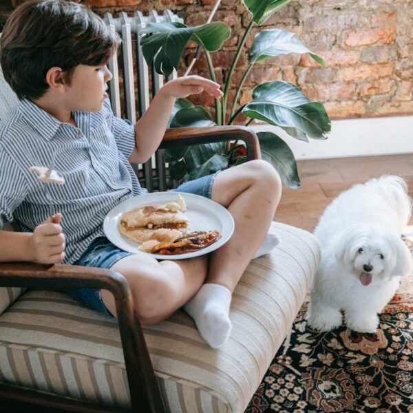 Zijn restjes echt zo slecht voor je hond?
